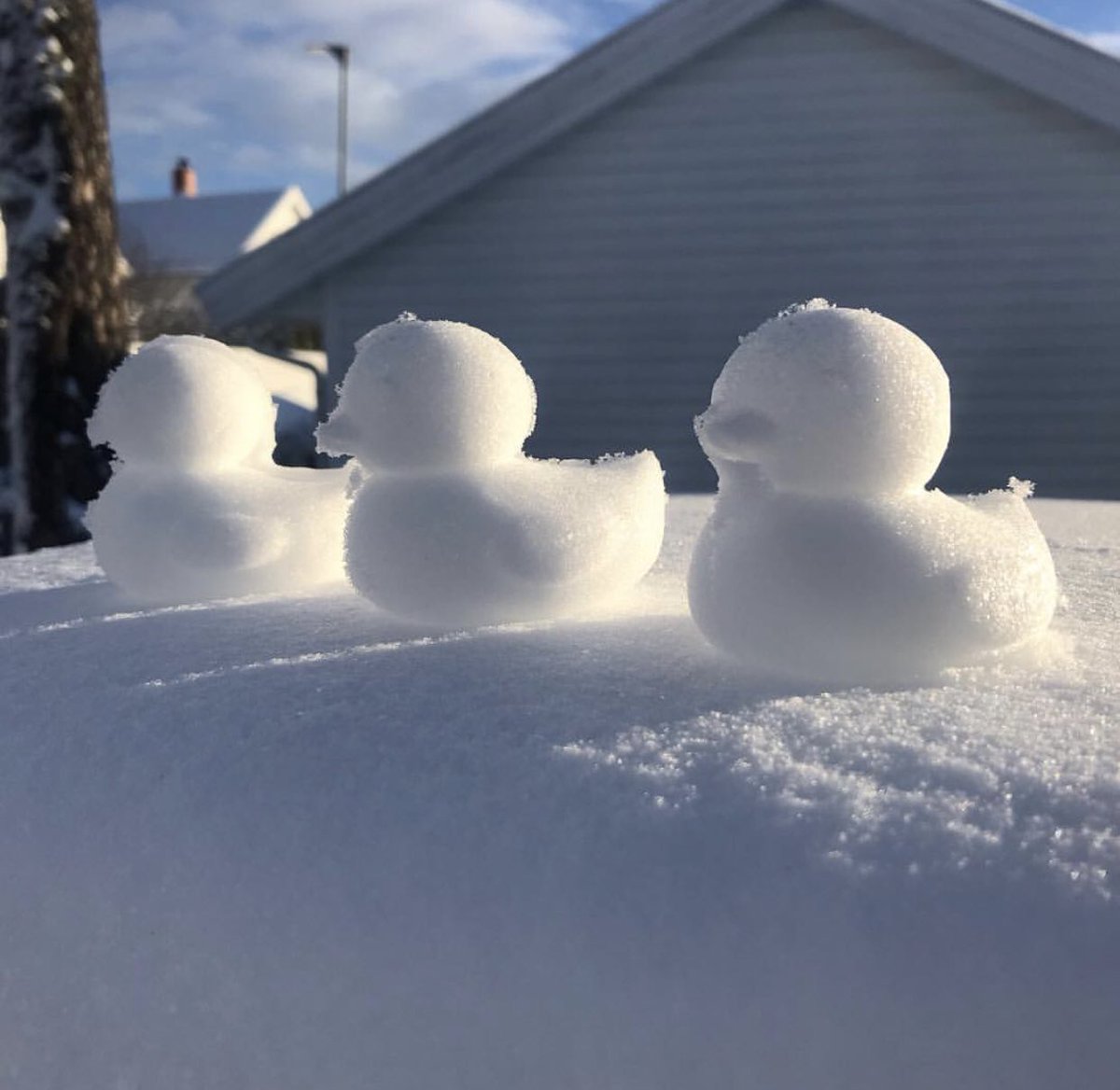 StormchaserUKEU's tweet photo. I’ve actually ordered one of these! Photo Kevin W B; #uksnow #UKWeather 🐤 https://t.co/Icx0C9Og3I