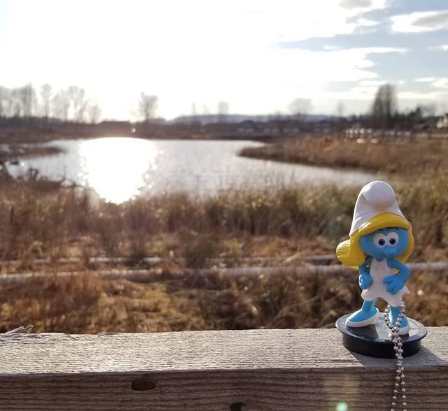 LANMonkeyGC's tweet photo. It's always fun to move a #geocaching trackable along on its (her) mission!
Enjoyed a visit to a wonderful wetland when we went @gogeocaching.
😁🦆🐸
.
#GoGeocaching #getoutside #traillife #explore #parks #smurf #showusyourcache #smurfette #trackable #w… https://t.co/wX38BRi9ii https://t.co/kqKNYfv4Uz