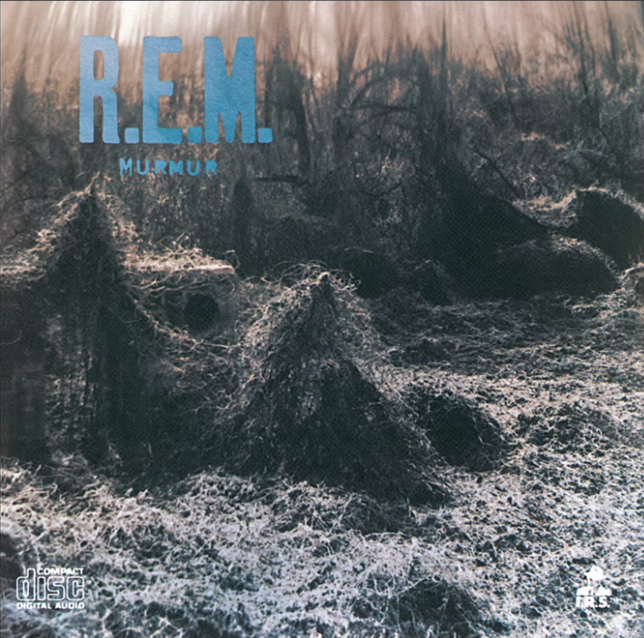 RockAlbumsPlus's tweet photo. 1983   🎤 @remhq   💽 Murmur 

🖇️ The front #cover features an image of a large quantity of the noxious weed kudzu, which grows so rapidly that it overtakes the landscape and kills other #plants by completely shading them.

#music #rocknroll #rockmusic #rockalbums https://t.co/oeYrjp4fyZ