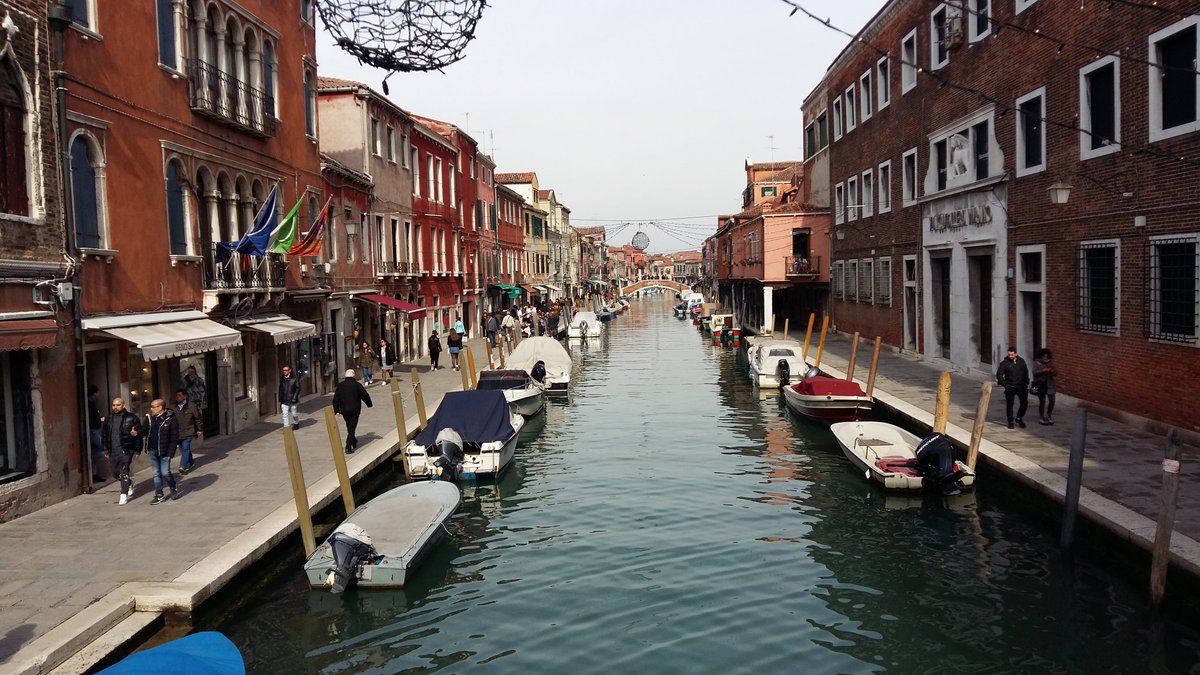 andreasini78's tweet photo. Abbiamo fatto trasferte peggiori
#forzadinamo #veneziasassari #murano #crocro #uffami https://t.co/MM4gpRTLcD