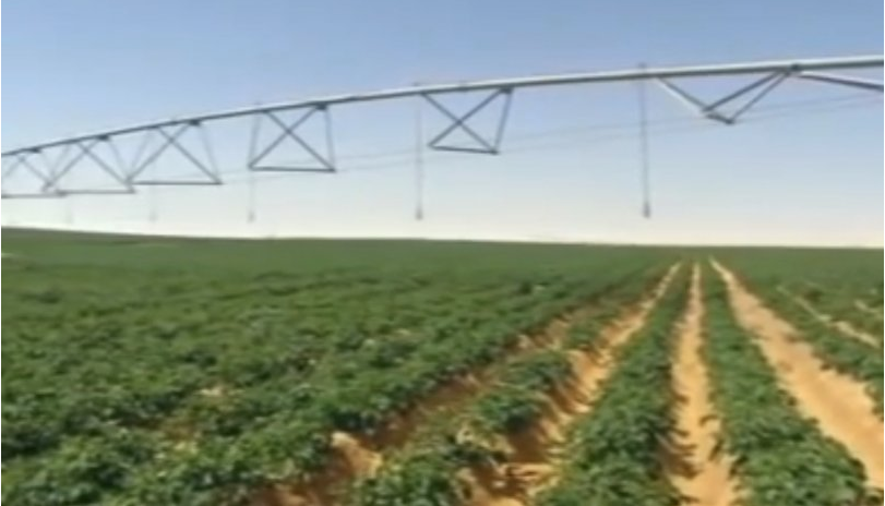 KaluVeda's tweet photo. Potato export from Egypt to Europe already at 200.000 tonnes

https://t.co/SRTmDoadN1

#trading #Commodities #potatoes #Egypt #import #business #entrepreneur #Europe #agriculture #SupplyChain #crop #sourcing #vegetables https://t.co/dseBobBfyl