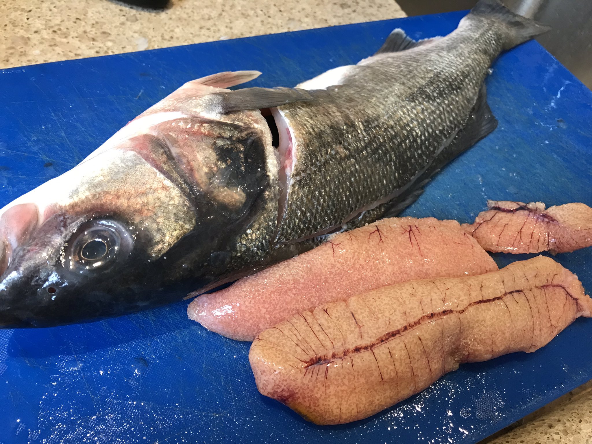 プリヒル姉さん ロンドン魚屋 たらこの原料 スケトウダラ の卵が簡単に手に入らないイギリスなので 随分前にどの魚卵が塩たらこ風にすると美味しいのか をやってみた 1 ドーバーソール 2 スズキ 3 リング 身の味はタラとほぼ同じ 4 ポロック