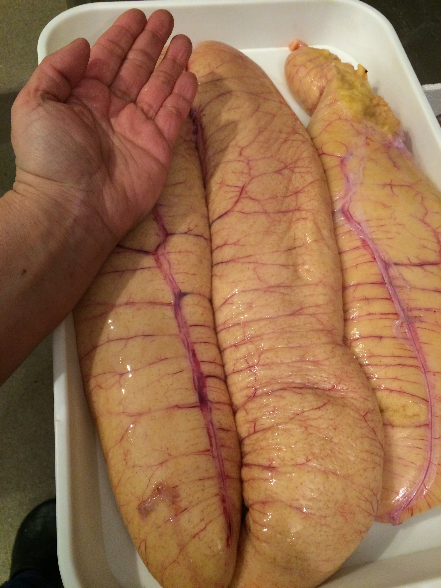 プリヒル姉さん ロンドン魚屋 たらこの原料 スケトウダラ の卵が簡単に手に入らないイギリスなので 随分前にどの魚卵が塩たらこ風にすると美味しいのか をやってみた 1 ドーバーソール 2 スズキ 3 リング 身の味はタラとほぼ同じ 4 ポロック