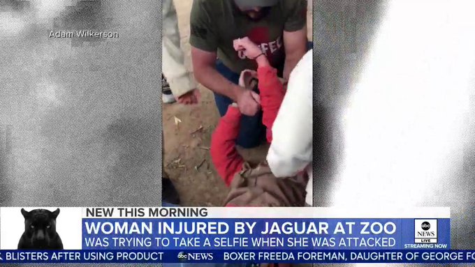 Встроенное видео