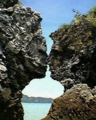 EileenPCarry's tweet photo. #Humanity was given instruction [love]; physically, emotionally, spiritually, and optionally, to stand firm as "watchers" by the original watchers [#Ancestors]. Have we failed #stewardship to memory of #humility?: A place of #Trustedaccount?

#DNAmemory 💭💙 https://t.co/WTfGj0iFdx