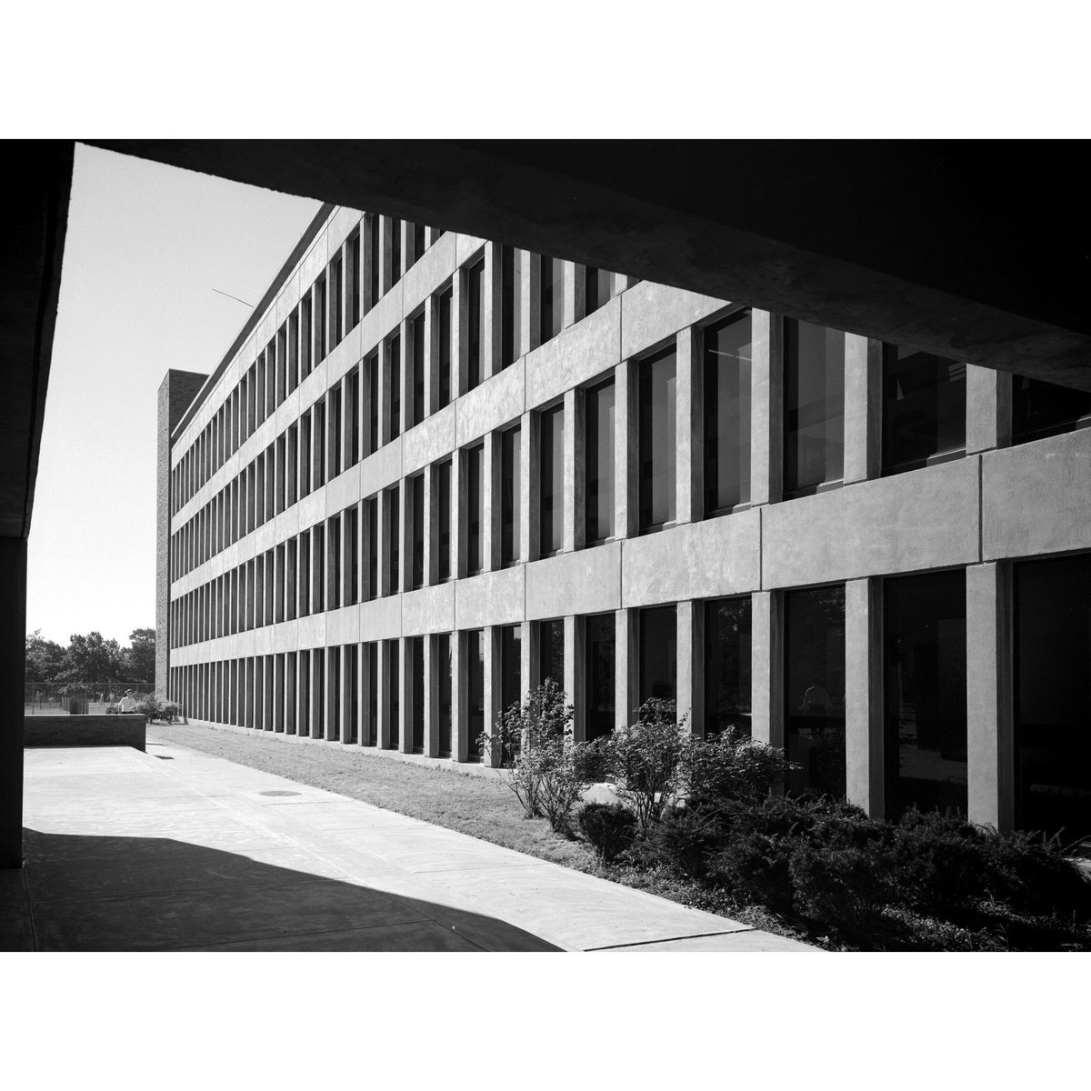 EstoPhoto's tweet photo. In Staten Island, Wagner College designed by Sherwood Mills and Smith, photographed by Ezra Stoller in 1969. Stoller has photographed Modern architecture throughout each borough of NYC.
@estophoto
#estophoto
#stollerized
#archphotography https://t.co/77HuZQf4js