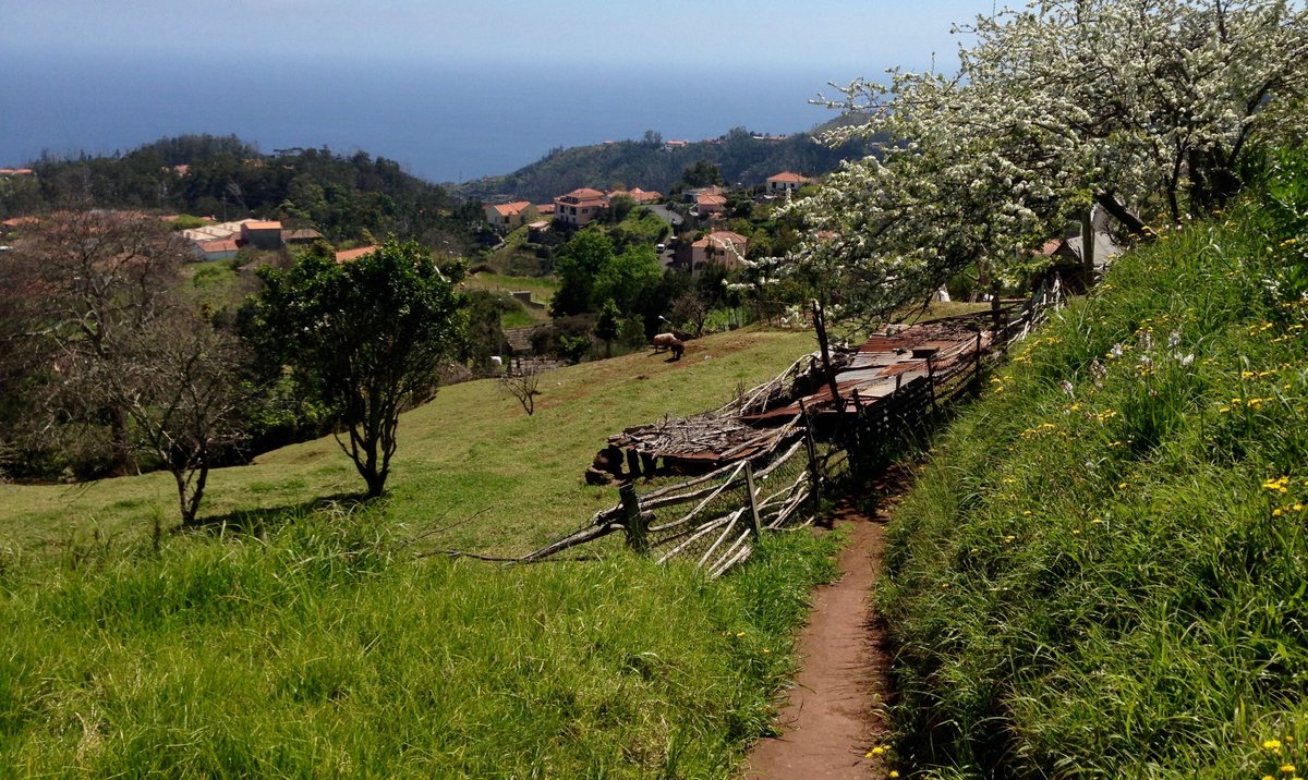 RetireToTheSun's tweet photo. "The grass is always greener on the other side of the hill.” 😉 
#travellife 
#travelphoto 
#travelpics 
#traveldiaries 
#travelbug https://t.co/ioiWjc7XRl