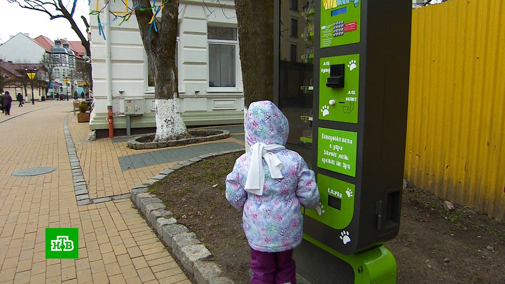 В Зеленоградске установили автомат продажи корма для бездомных животных ntv.ru/novosti/216472…