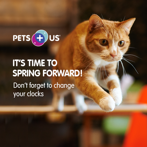 PetsPlusUsIns's tweet image. The time is MEOW! If you haven't done it already, it's time to spring forward. ⏰ #SpringFoward #DaylightSavings