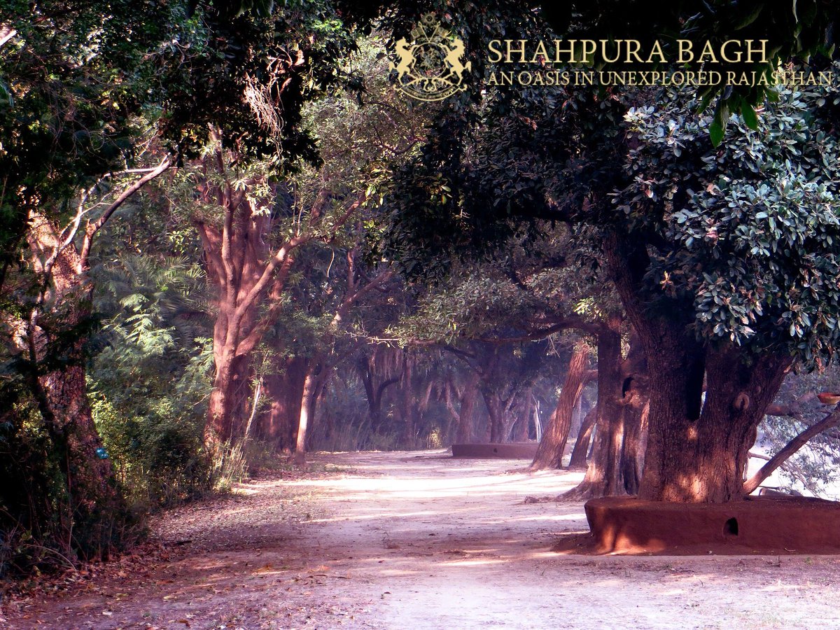 shahpura_bagh tweet picture