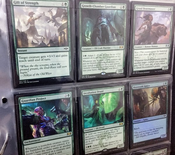 Kissin Mtg コツコツ集めていた ラブニカの献身 カード 全259種 トークンをコンプリートすることができました パックを開ける スリーブに入れる ファイリングする カードを眺めることが これ程楽しいとは思いませんでした 何事も始めてみる Kissin Mtg コツコツ集めていた ラブニカの献身 カード 全259種 トークンをコンプリートすることができました パックを開ける スリーブに入れる ファイリングする カードを眺めることが これ程楽しいとは思いませんでした 何事も始めてみる