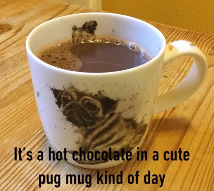 DGjertrud's tweet photo. It is snowing like crazy outside and mom says it is hot chocolate in a cute pug mug kind of day 🐶👍🏻 HAPPY SUNDAY EVERYPAWDY!!! https://t.co/edKODEB8pZ