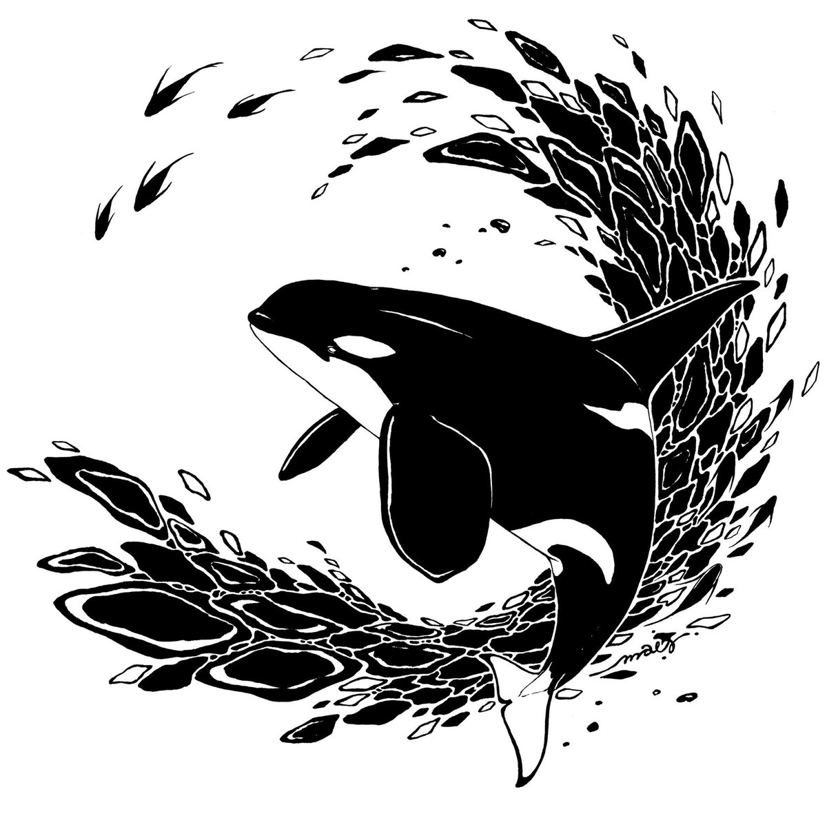 しゃち様 オーダーページ しゃち様 オーダーページ 先日できた新しいシャチデザイン！🌊 思っ