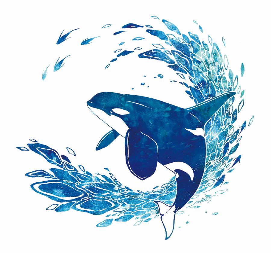 先日できた新しいシャチデザイン！🌊 思ったより時間かかり難産でした