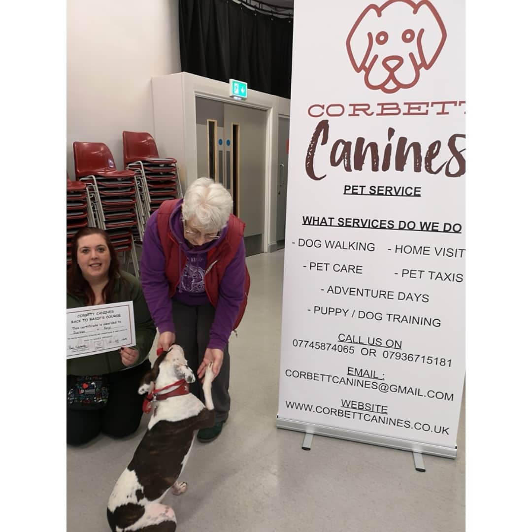 Corbett_Canines tweet media