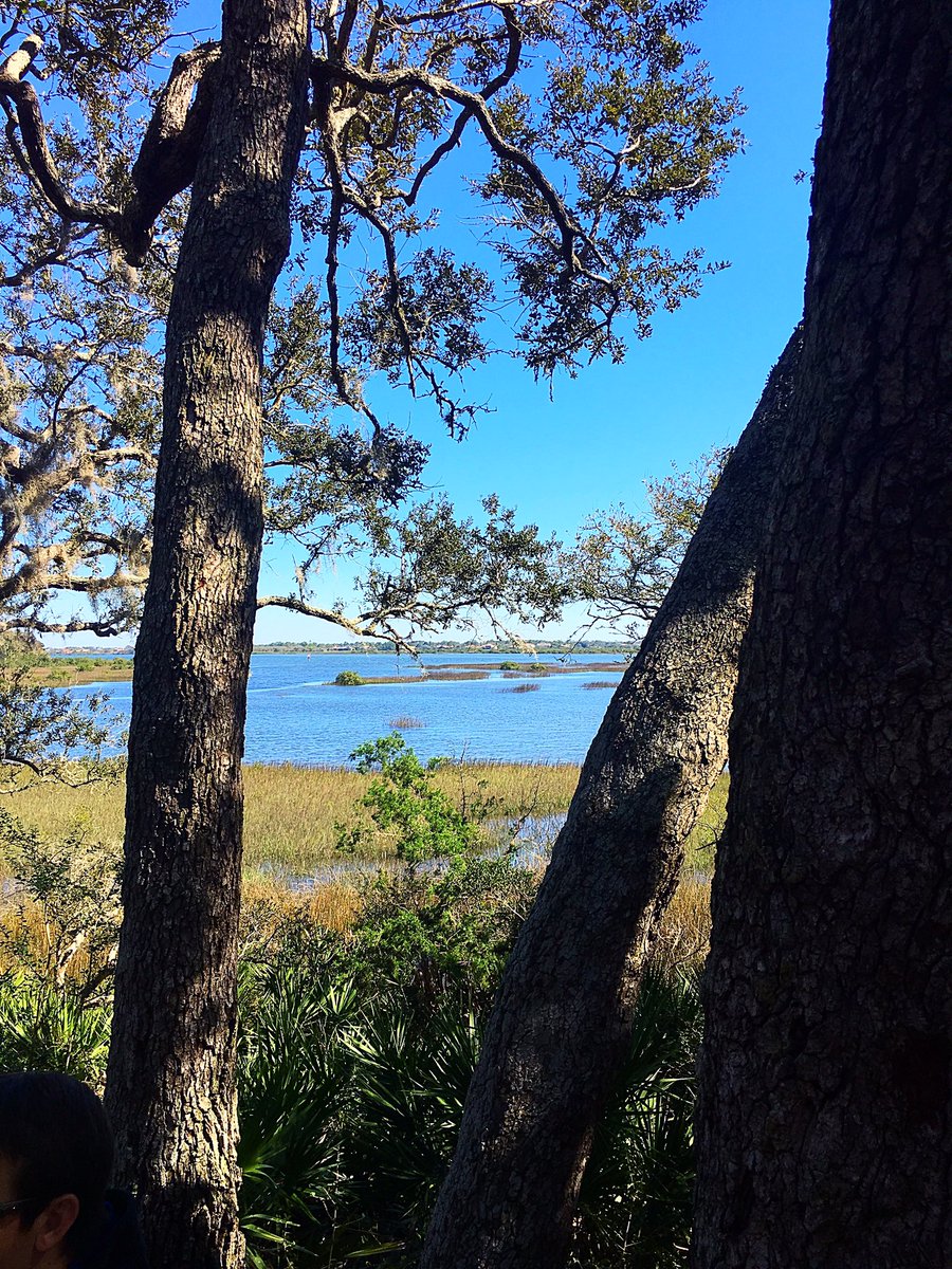 eduk8fla's tweet photo. Have you been to Vail Park? Thank you St. Augustine Natuarlist Kelley Ussia for sharing its beauty, access amenities, history and environmental significance. https://t.co/WbPhoU2x11 https://t.co/sPM1xKn080