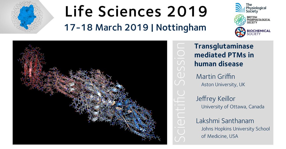 The Physiological Society (@thephysoc) on Twitter photo Only a week left until #LifeSci19! Join us to learn about transglutaminase mediated PTMs in human disease with speakers from <a href="/AstonUniversity/">Aston University</a> <a href="/uOttawa/">Université d'Ottawa | University of Ottawa</a> and <a href="/HopkinsMedicine/">Johns Hopkins Medicine</a>. <a href="/BritPharmSoc/">British Pharmacological Society</a> <a href="/BiochemSoc/">Biochemical Society</a> <a href="/UniofNottingham/">Uni of Nottingham #WeAreUoN</a> buff.ly/2TpXSCJ Only a week left until #LifeSci19! Join us to learn about transglutaminase mediated PTMs in human disease with speakers from <a href="/AstonUniversity/">Aston University</a> <a href="/uOttawa/">Université d'Ottawa | University of Ottawa</a> and <a href="/HopkinsMedicine/">Johns Hopkins Medicine</a>. <a href="/BritPharmSoc/">British Pharmacological Society</a> <a href="/BiochemSoc/">Biochemical Society</a> <a href="/UniofNottingham/">Uni of Nottingham #WeAreUoN</a> buff.ly/2TpXSCJ