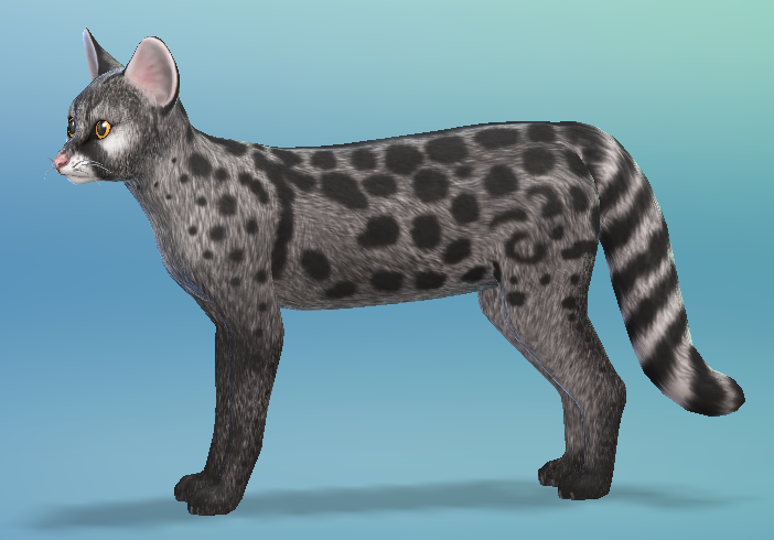 AshariaArt's tweet photo. #Genet now in my gallery! Gallery Link: https://t.co/BLaAK2B0Ya #Asharia #AshariaArt #TheSims #TheSims4 #Sims @SimsCreatorsCom https://t.co/BDAuQN7IOQ