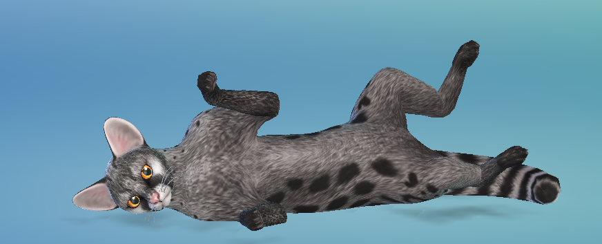 AshariaArt's tweet photo. #Genet now in my gallery! Gallery Link: https://t.co/BLaAK2B0Ya #Asharia #AshariaArt #TheSims #TheSims4 #Sims @SimsCreatorsCom https://t.co/BDAuQN7IOQ