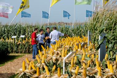 LNcampo's tweet photo. Expoagro 2019: la hora de mover las piezas en un tablero con variables adversas https://t.co/TwhaikyLWR vía @LANACION #campo #expoagro2019 https://t.co/vSJTMkISUc