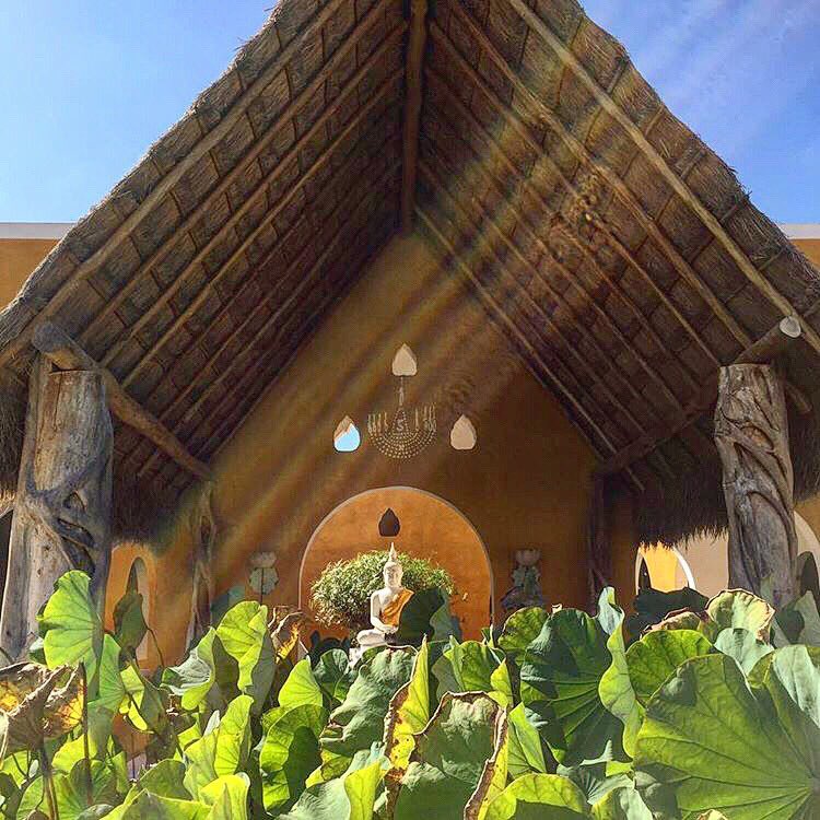 ulisesortizb's tweet photo. “Durante nuestros momentos más oscuros debemos centrarnos en ver la luz”. #aristotelesonassis #fundebien #sanjose #baca #yucatan #visitmexico #visityucatan #m4society #viewsofmexico #postingmexico #mexicoenamorate #enamoratedemexico #mexicoenunafoto #mexicoenunaimagen https://t.co/hw1NpmXFjL
