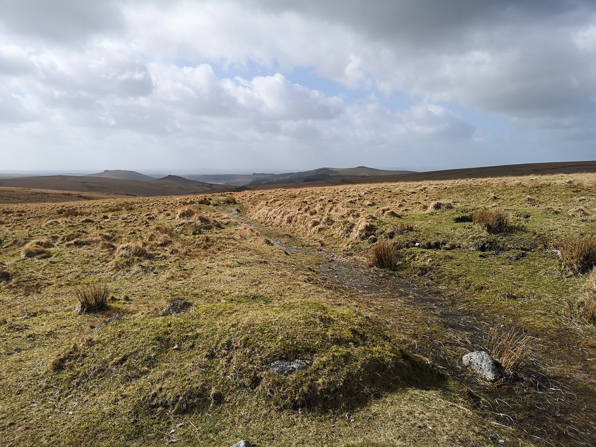 Lollyhancock198's tweet photo. Walk out on Dartmoor for some inspiration for next painting
#dartmoor #walking #moore #nationalparks #visitdartmoor #artinspiration https://t.co/gb2w0E1wt3