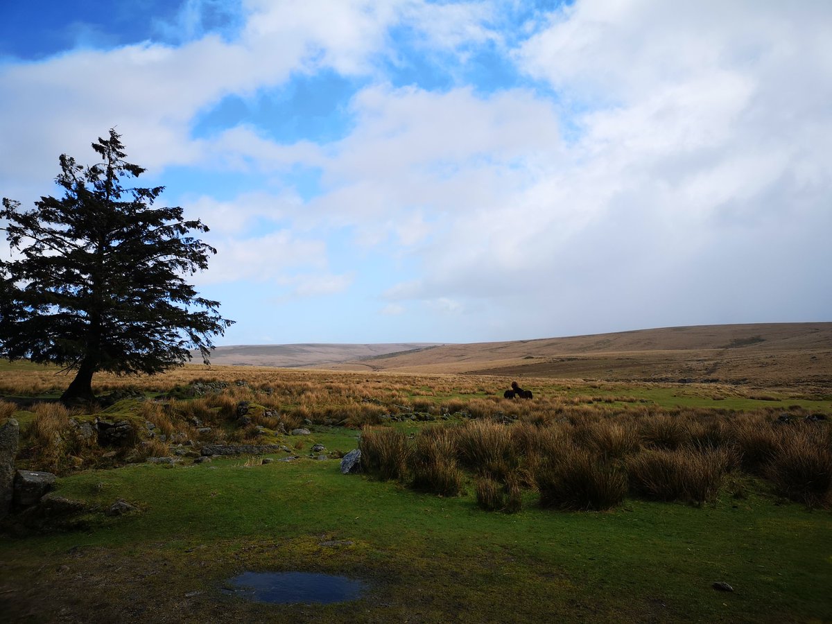 Lollyhancock198's tweet photo. Walk out on Dartmoor for some inspiration for next painting
#dartmoor #walking #moore #nationalparks #visitdartmoor #artinspiration https://t.co/gb2w0E1wt3