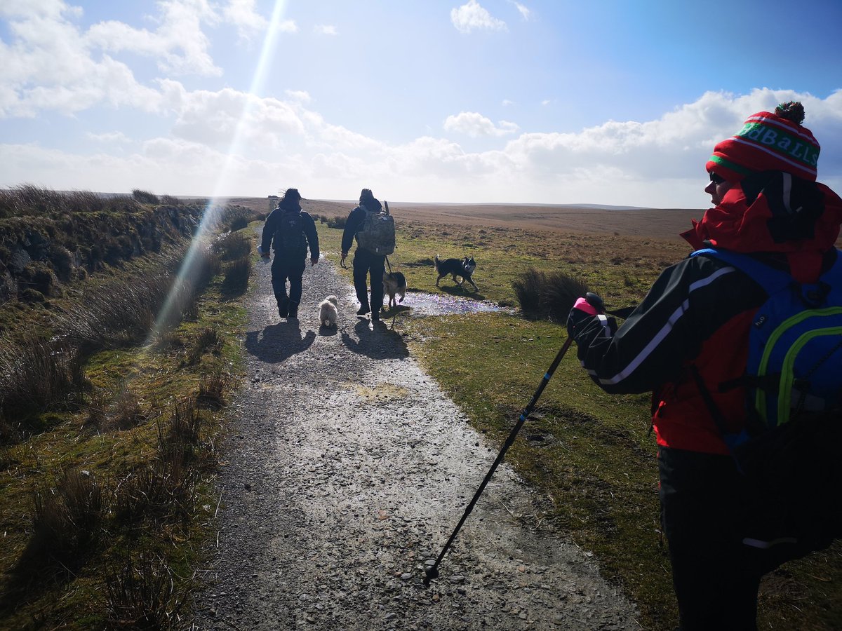 Lollyhancock198's tweet photo. Walk out on Dartmoor for some inspiration for next painting
#dartmoor #walking #moore #nationalparks #visitdartmoor #artinspiration https://t.co/gb2w0E1wt3