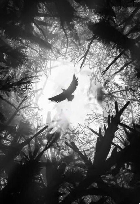 Hail Sunna’s day heathens