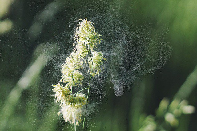 TimpAnimalHosp's tweet photo. Recognize and help soothe your pet's seasonal allergies. https://t.co/L5h4VBsWqn

#allergies #seasonal #pets #dogs #itchy https://t.co/jTFvJGUw47