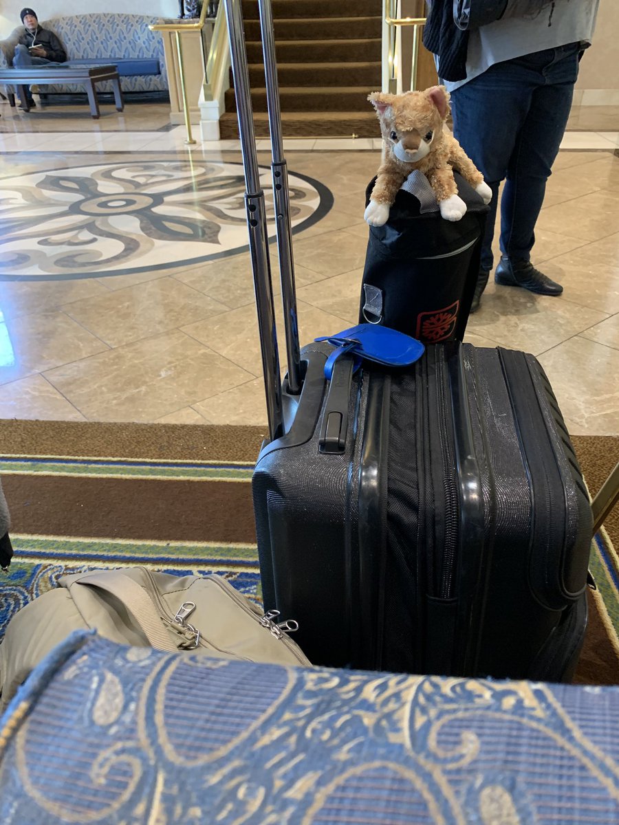 atlasgames's tweet photo. #TruckerKitty is ready to hop on the bus and head to the #GAMATradeShow. https://t.co/eDBu5Gpn1L