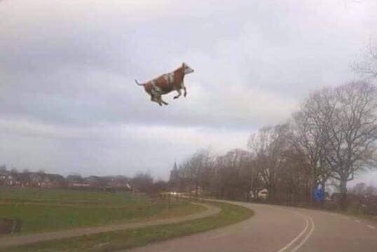 We zijn onderweg met uw hapjes! 💨 Eventjes geduld nog..😜 #CodeOranje