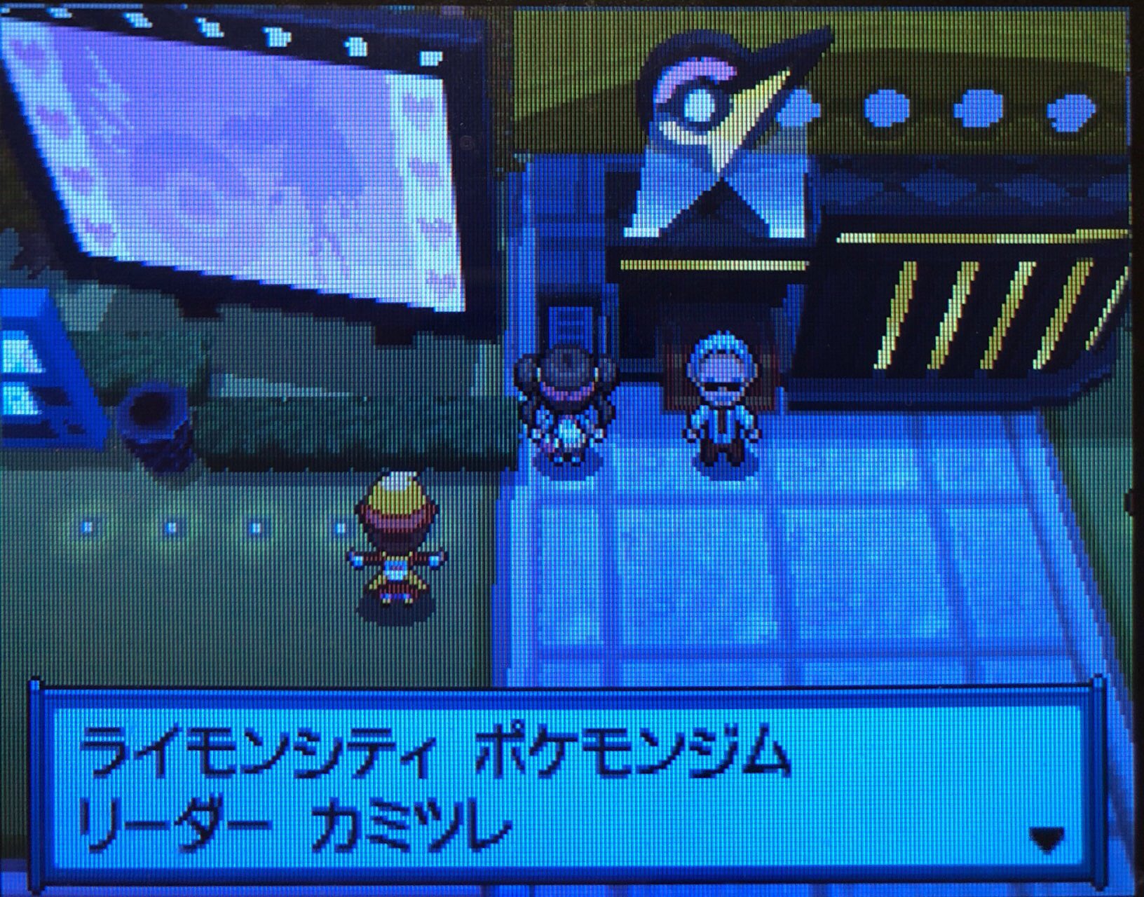 8 ライモンシティにて ピクミン マリオ ドラクエ Ff ポケモン日記