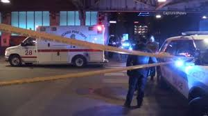 Chicago security officer shot to death