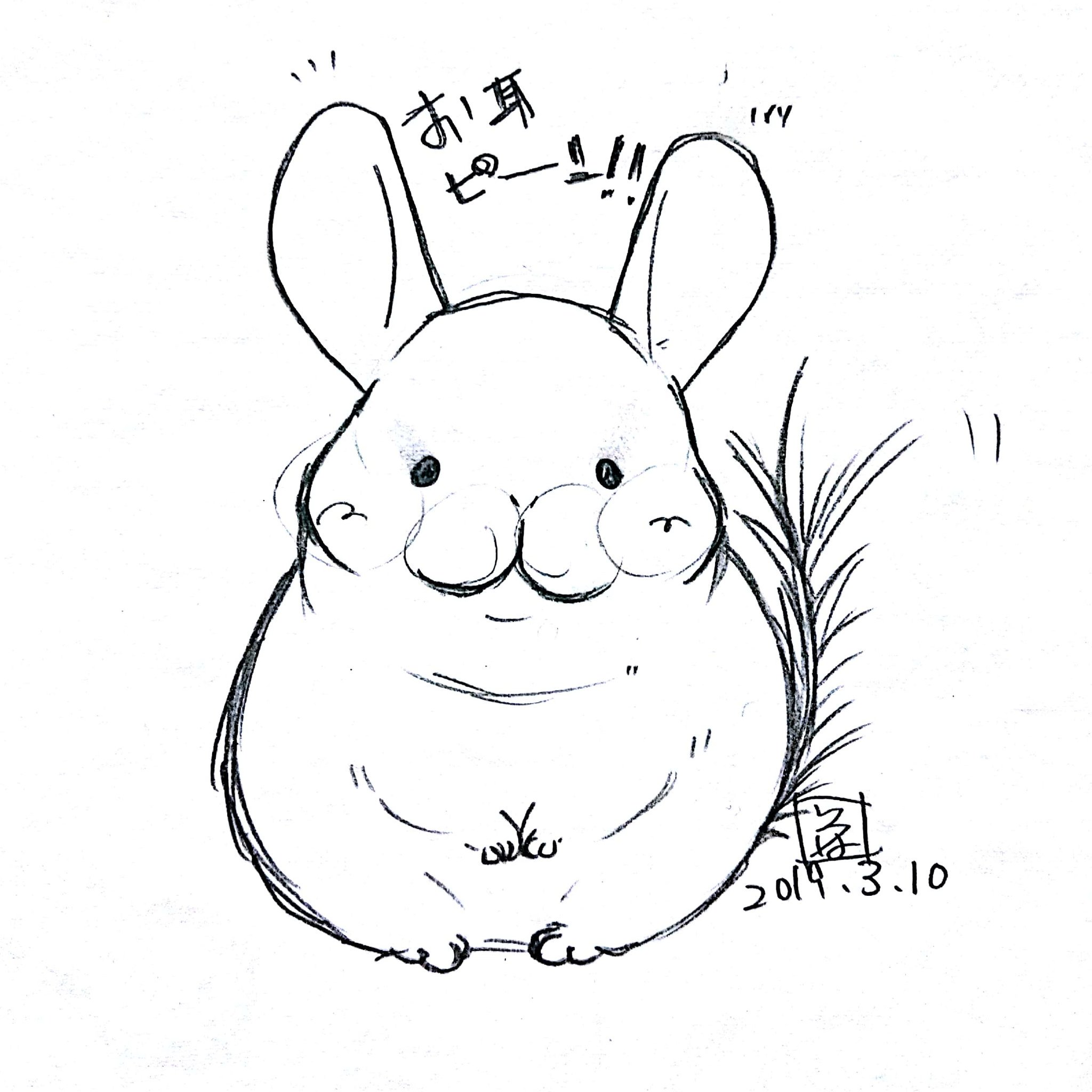 いろは お絵かきしたさ イラストとか写真はインスタの方が反応もらえて嬉しいので先にそっちにあげちゃう 小動物 小動物 イラスト モフモフ イラスト アナログ絵 アナログイラスト ラフ画 モノクロイラスト モノクロ Chinchilla チンチラ