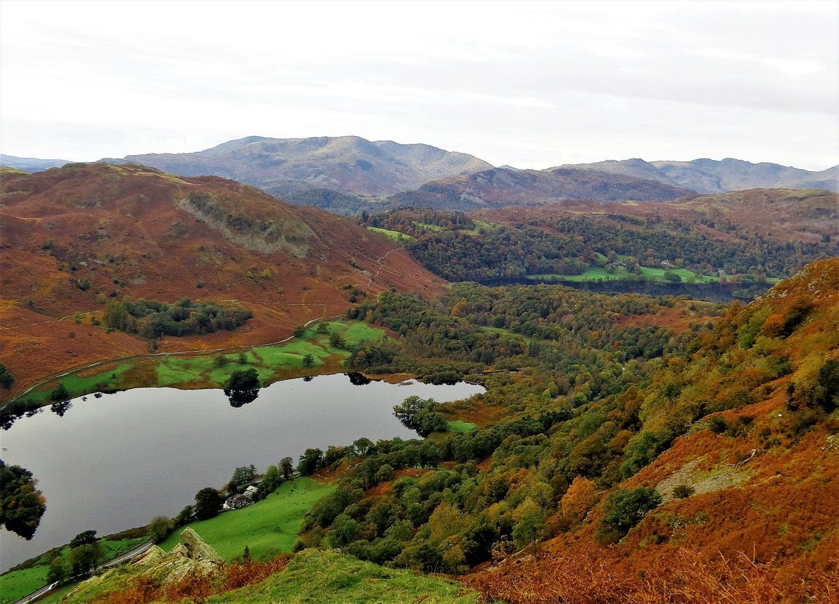 StanLeigh18's tweet photo. 4 more #Wainwright #Fell images of my alphabetical #Lakeland journey
#NabScar view of #RydalWater & #ConistonFells- ##NethermostPike summit #Outerside - #PaveyArk & #StickleTarn
@glocky @keswickbootco @Wainwright_Pub @fellpics https://t.co/gp6OQg6dbl