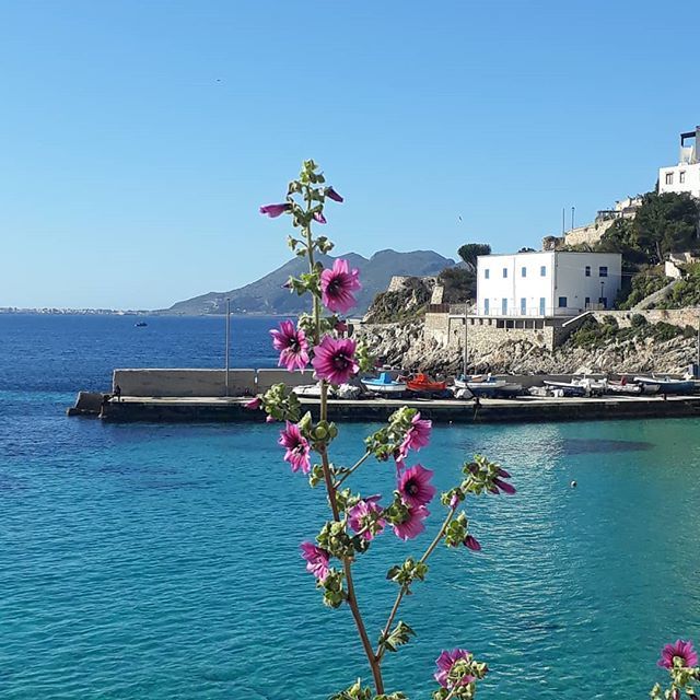 TrailsOfSicily's tweet photo. Welcome to paradise 😍

#Egadi #Levanzo #isole #sicilianholiday #island #seacoast #mediterraneansea #trapani #travelsicily #trekking #hikingtrail #outdoorwoman #outdoorlovers #landscapephotography #beautifulday #beautifulview #sicilianelcuore #trailso… https://t.co/1xBTXy9zWS https://t.co/kzgQ6pnErP