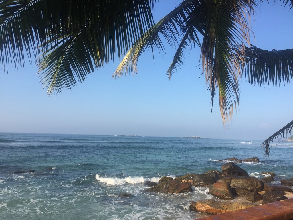 JanChrisM's tweet photo. Explore Sri Lanka’s Southern Province (Part 2 – Gourmet &amp; Transport) https://t.co/ZFly1Cik2m https://t.co/39ANijMSsh