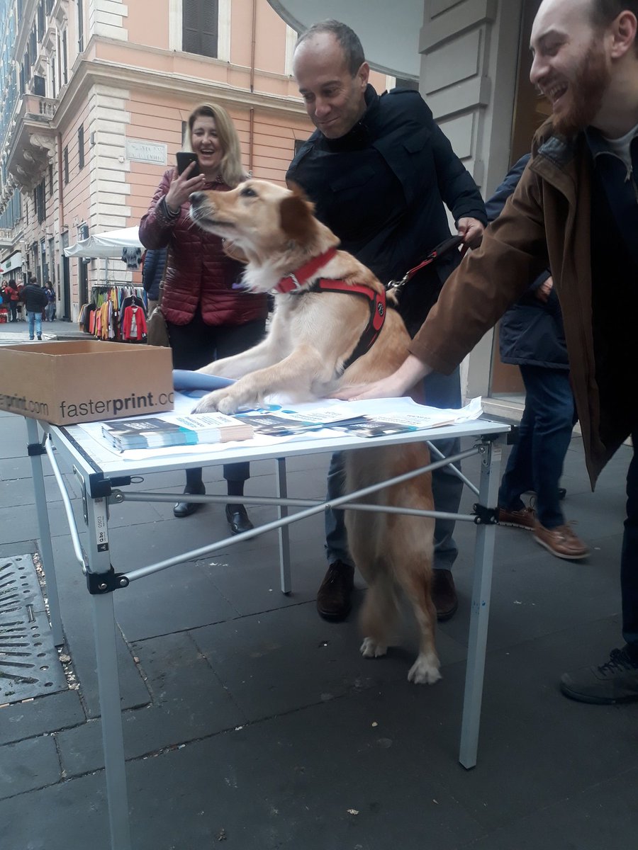 citypat1's tweet photo. A via cola di Rienzo al banchetto @Piu_Europa contro la chiusura domenicale dei negozi ci sono entusiasti firmatari a 4 zampe!
@_AMazziotti @dianaseverati https://t.co/zPP6yxbQS8