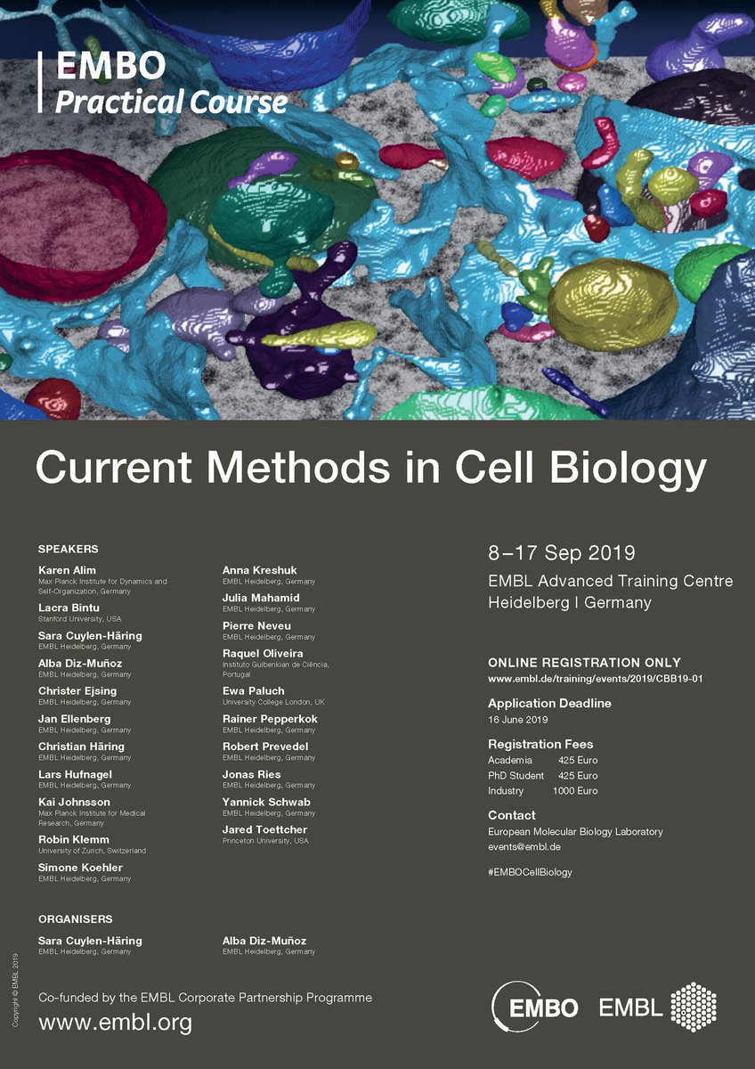 Our EMBO Practical Course: Current Methods in Cell Biology allows participants to experience modern cell biology at work: not only to see but also to try out in practice how cutting-edge technologies can be used in cell biology. embl.de/training/event… #EMBOcellbiology