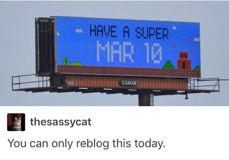 I missed my chance last year, not gonna let that happen again 🍄🌻