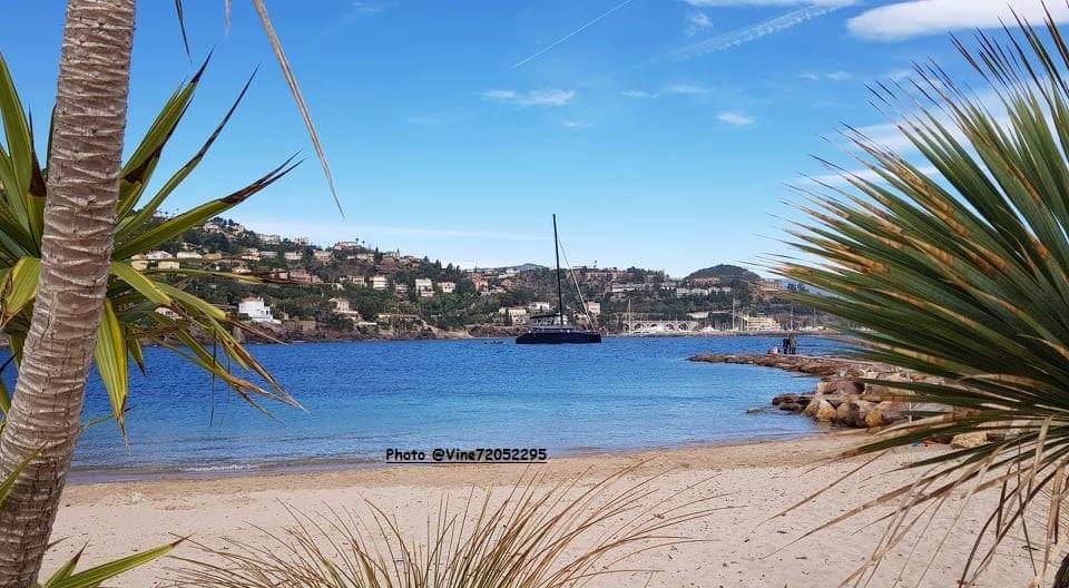 Ce jour à Theoule ☀️☀️
#MagnifiqueFrance #CotedAzurFrance #Nature #photography #Passion #Mediterranean #FrenchRiviera #FranceMagique #cotedazurnow #follobackforfolloback #folloback #FolloMe #PictureOfTheDay #meteocotedazur #LIKEs #likeforfolow #theoule #yachting #sun #jaimelapaca