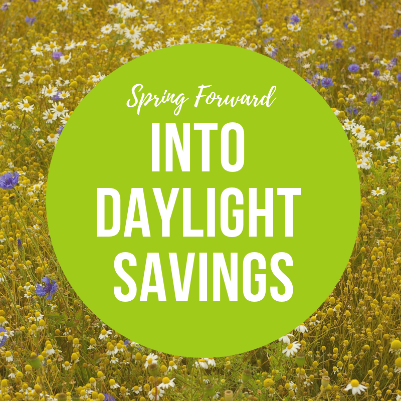 car_whorns's tweet photo. Raise your hand if you ever felt personally victimized by Daylight Savings.  🙋🙋‍♂️ https://t.co/zlWN76jczi