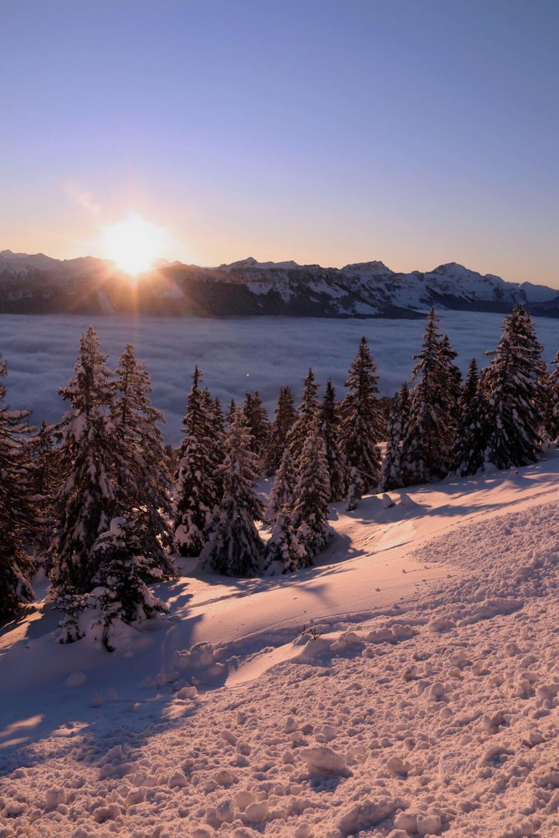 Snowy sunset shared on PicBallot by sylphotographies

#snow #sunset #landscapephotography #travel #SunsetScenes #skyscapes #mountainsunset