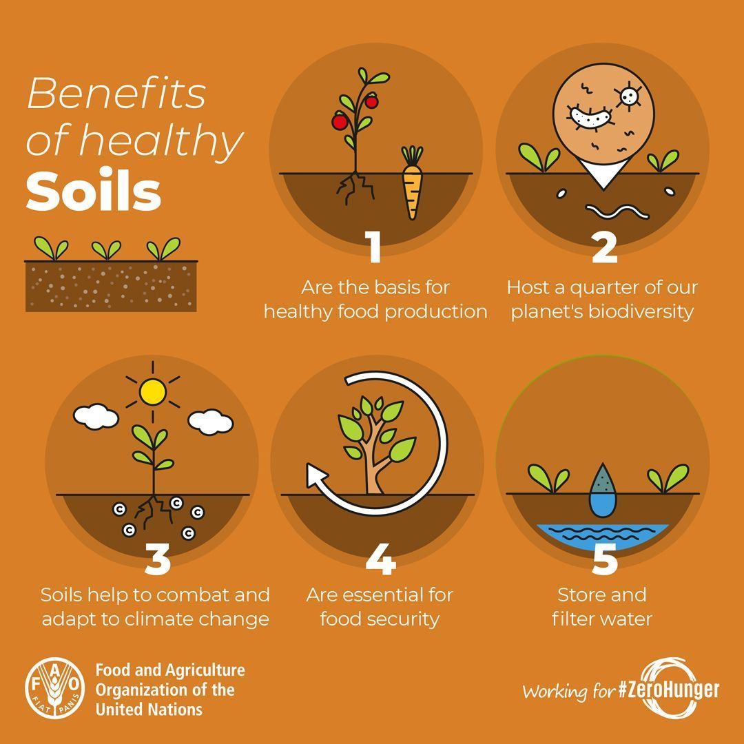 FAOKnowledge's tweet photo. The ground beneath our feet is more precious than we know. 

5 of soils' best kept secrets 👇 

#StopSoilPollution #ZeroHunger https://t.co/DaFyI36unq