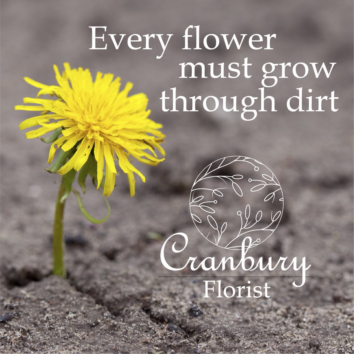 Happy Sunday! #grow #flowerstalking #flowerslovers #flowershop #flower #flowerbouquet #flowerlove #floweroftheday #flowerarrangement #flowergram #flowerstagram #flower_daily #flowerpower #flowery #flower_special_ #flowerbox #flowermagic #flowerlover #flowerlove #flowerbouquet