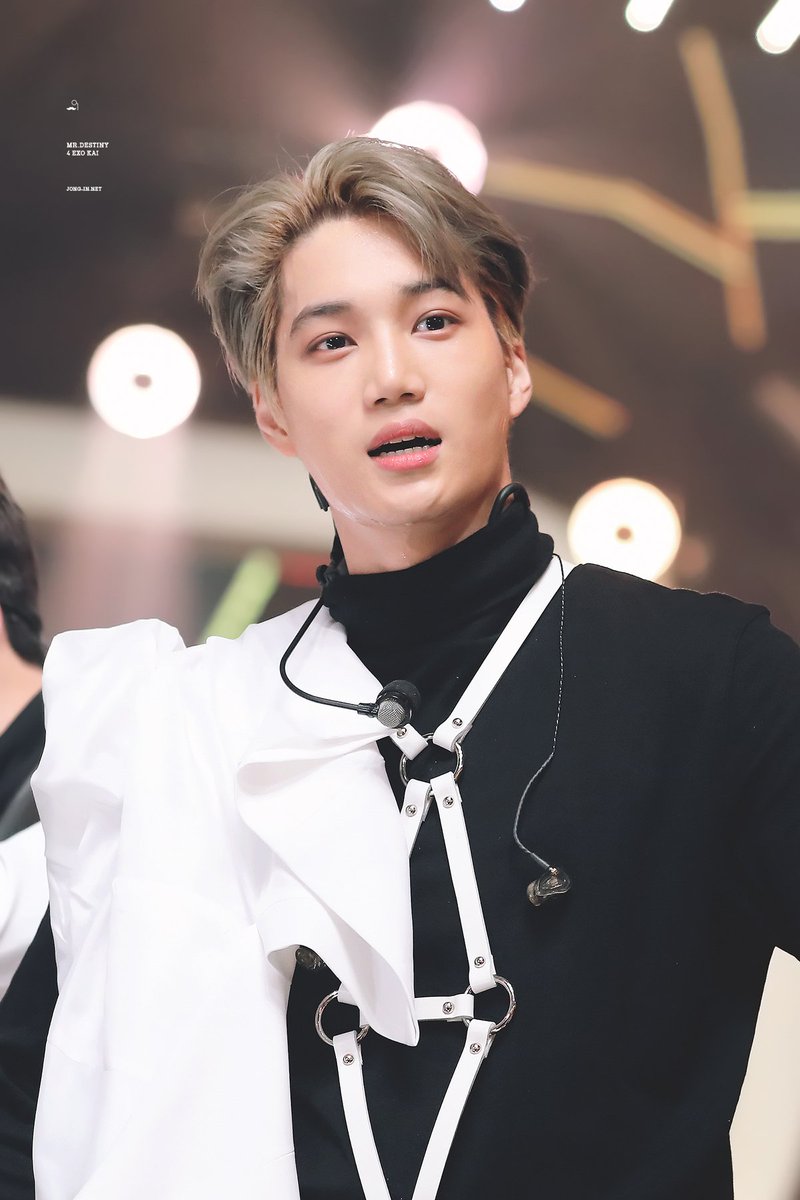 vgaismya's tweet photo. Nini Bear🐻
#KaiExo
#KaiDancer
#KaiTempo
@weareoneEXO https://t.co/qvv7mlW8co