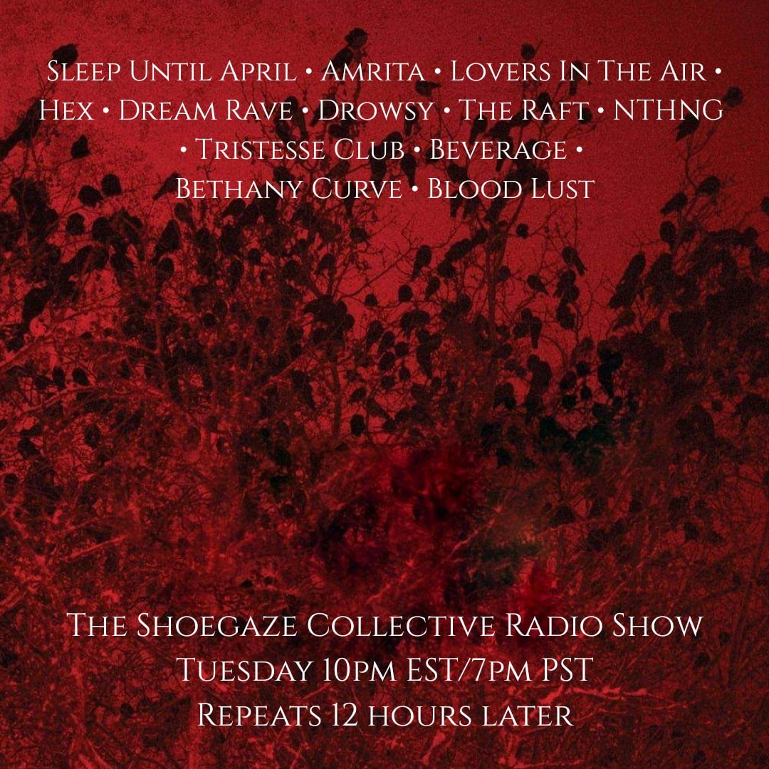 ShoegazeCo's tweet photo. TSC SHOW: 102

The Shoegaze Collective Radio Show on DKFM has returned.

Join us Tuesday night (3/12/19)@10PM EST - 7PM PST with a rebroadcast the following morning @ 10AM EST - 7AM PST on https://t.co/GZlJiDQSO8

PLAY LOUD!

#THESHOEGAZECOLLECTIVE #DKFM https://t.co/f2PNTIERIz