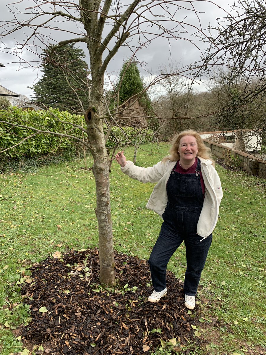 JudithHall99's tweet photo. #IPlantTrees Tomorrow I’m speaking @ VJ Gallery 17.30 at launch of @cardiffuni #GoGreenWeek 11-15th March. Come learn about @PhoenixCUni #PhoenixStudents #PhoenixForest @unam_na @Cardiffuninews @Main_Campus_SRC @PresidentCSU @patience_masua @IamUnivOfNam @SNamesho @SDicksons https://t.co/j3k8rGGahM