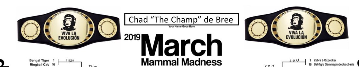 EChadwickDB's tweet image. My custom #2019MMM bracket has been submitted to my pool. Did you know de Bree means “The Champ” in Dutch? Obviously not really, but still. #BackToBackChamp